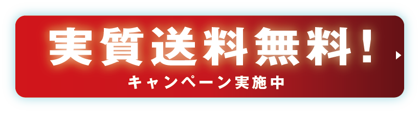 実質送料無料！キャンペーン実施中