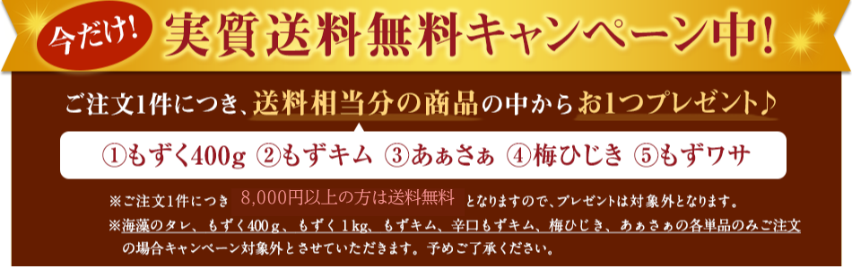 送料無料キャンペーン！(8,000円以上)