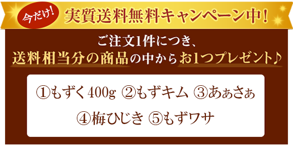 送料無料キャンペーン中！(8,000円以上)
